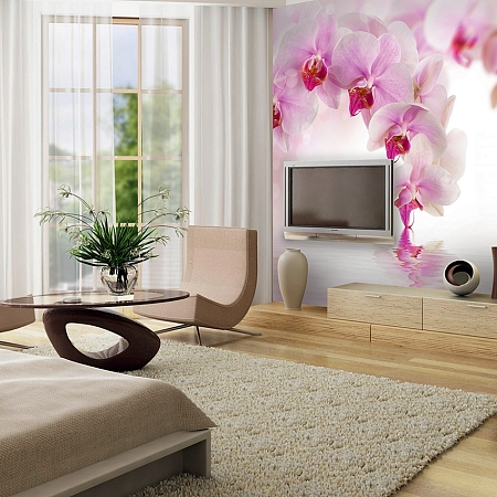 Фотообои Розовая орхидея D-070 (3,0х2,7 м), Дивино Декор